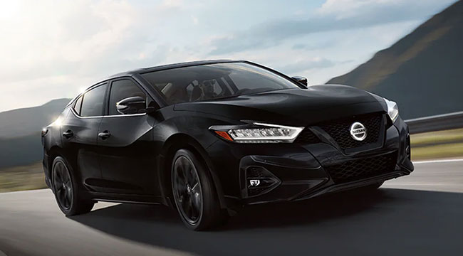Nissan Maxima in Sayre, PA